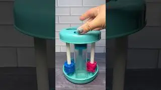 🟦Blue Bear shape sorter loop