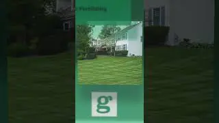Your Lawn's Guide to Success