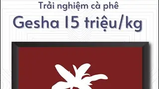 Trải nghiệm Gesha Panama 15 triệu/kg