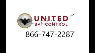 Spartanburg Bat Removal   866 747 2287