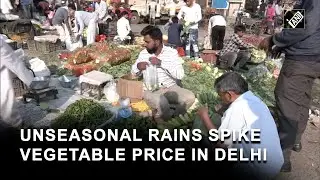 Unseasonal rains cause sudden vegetable price rise in Delhi