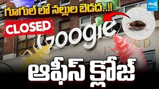 Google Office Closed Due to Bedbug Attack at New York | @SakshiTVBusiness1