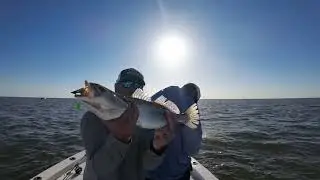 Fishing and Camping on a Remote Island 50 Miles South of Biloxi, MS