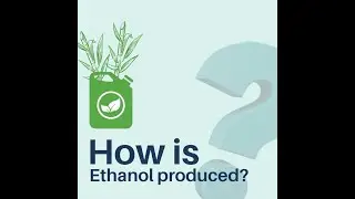 Sneak-peak into Ethanol Production | Ethanol | Renewable | Fuel | Energy | Sustainable |
