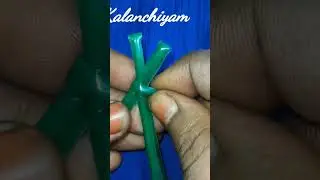 Plastic Wire Amla Knot Basic Tutorial #wirebasket #wirekoodaipinnuthal #basket #basketmaking