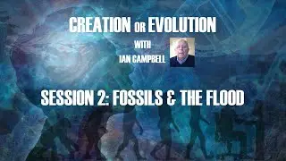 Creation or Evolution: 2) Fossils & the Flood