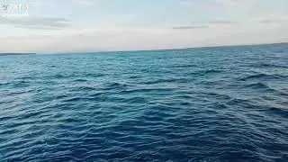 Ta&ntilde;on Straight