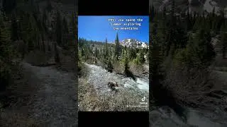 Rocky Mountain High 🏕️ #camping #dog #adventure #hiking #outdoors #mountains #colorado #summer