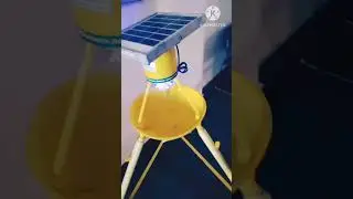 Solar light trap for insect control