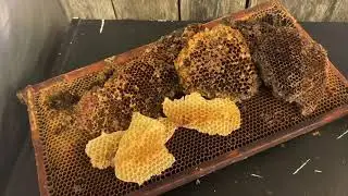 Mind your beeswax | honeycomb | beekeeping
