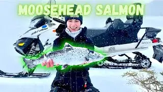 Подледная рыбалка в штате Мэн во время снежной бури - ажиотаж вокруг лосося на озере Мусхед, штат...