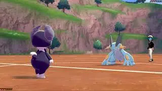 Pok&eacute;mon Sword & Shield Online Battle 144