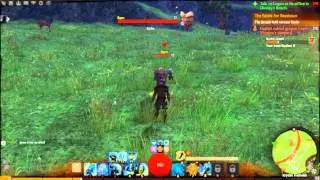 Guild Wars 2 Human Guardian Mace and Focus Gameplay