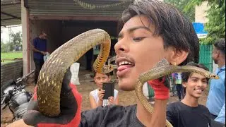 आख़िर सांप क्यों छोड़ता है सांप काचली, देखो वीडियो में क़ैद हुआ पूरा सच 😨#rat_snake