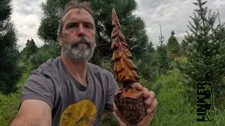 Trees from Bark - This Might be the Easiest Wood Carving Ever!