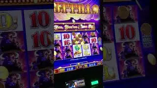 #buffalo line hit at Ameristar Colorado! #slot #winner #ameristar #blackhawk