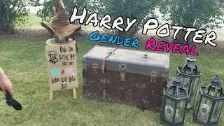 Harry Potter themed gender reveal party!