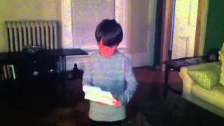 Raine's Paper Airplane Collection