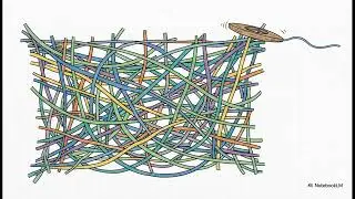 Mind Mapping  Living Practice 