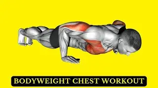 Best Bodyweight Chest Exercises for Strength & Shape