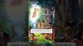 Narayana #Narayana Narada Maharishi Narayana is the great mantra propagation in Devalokam