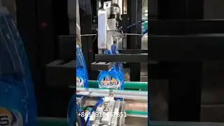 Trigger, Pump cap servo capping machine with cap sorter