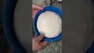٢٦ أكتوبر ٢٠٢٥