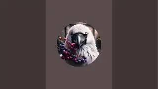 RAVEN&rsquo;S ADDICTION - LIVE SALE JEWELRY AND NICK NACKS WITH Tanya + GOOD VIBES 😎 ✨🤗✨🤙