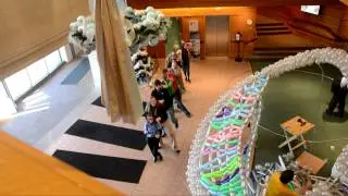 Minnetrista 25th Birthday Celebration: Conga Line