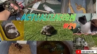 Actualización de mis mascotas 🐾 #29