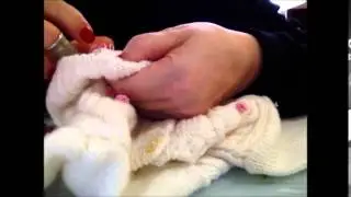 Roselline ricamate a punto vapore e foglie a punto margherita