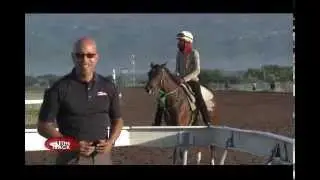 Jamaica's BurgerKing Superstakes & more! | At the Track | Nov 19, 2015