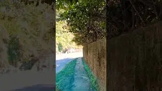 Инвестиции и бесхозяйственность.
