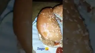 tasty zinger burger... #zinger #burger #fastfood #goodtaste #viral   #foodstreet #gujranwala