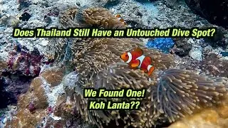 Does Thailand Have an Untouched Dive Spot? We Found One! Koh Lanta??