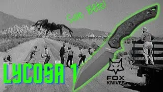 LYCOSA 1 - Fox Edge : la 