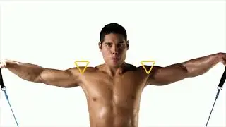 Fit Mammal Resistance Band Set- Warranty for Life- Resistance Bands for Workout for Men & W #shorts