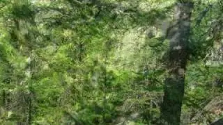 Salendo verso Sagnalonga
