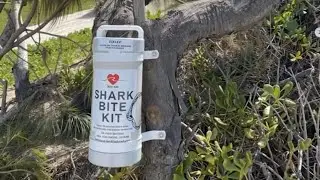 Shark attacks shouldn&rsquo;t be left up to &lsquo;luck anymore&rsquo;
