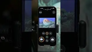 How to quickly access UWACAM from a locked screen? 🤔 #uwacam #uwacolor #smartphone #underwater