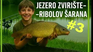 Pecanje na Jezeru Zvirištu (UPECALI 3 ŠARANA)