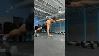 High plank alternating arm raise to toe tap