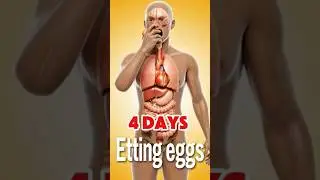 4 days Etting eggs how effect on body #facts #3danimation #eggs