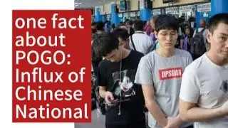 1 Fact About POGO Scatter: Influx Of Chinese National