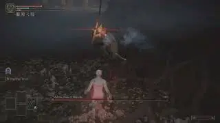 Malenia done quick hitless - Raptor Talons - no buffs/parry - RL140