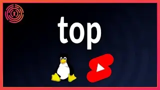 Linux Command: top