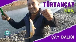 TÜRYANÇAY çayı, Çaybalığı - Şırbıt  (УСАЧ)