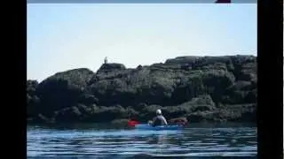 Castine Kayak Campobello Island