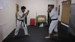 Karate: The Hammer Fist