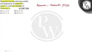 Branchial formula showing number and disposition of respiratory P o...